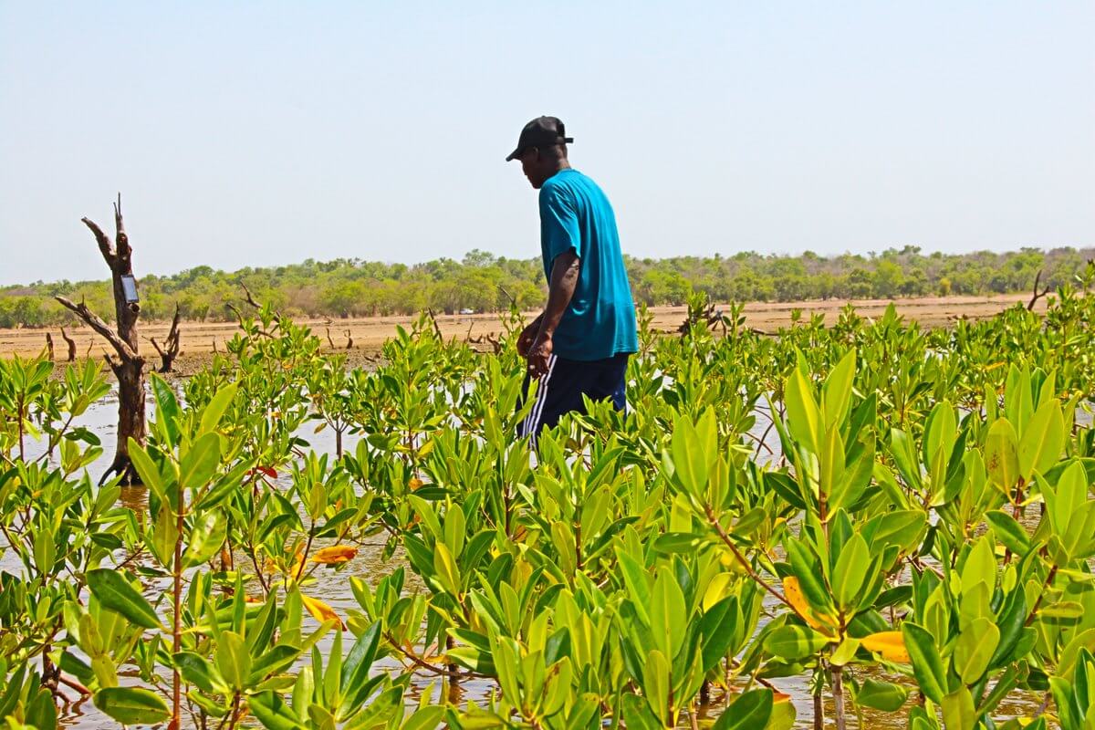 Protection habitats